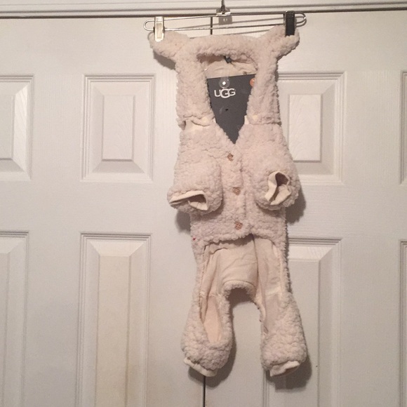 mini goldendoodle dog